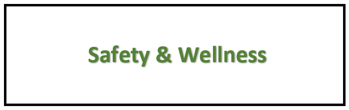 Safety & Wellness 